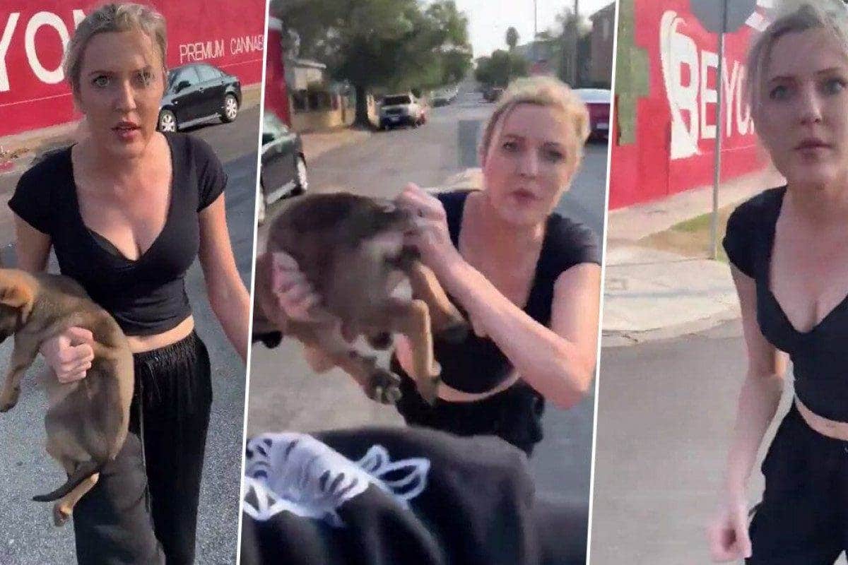 White woman throws dog at Black man in freakish argument on the street