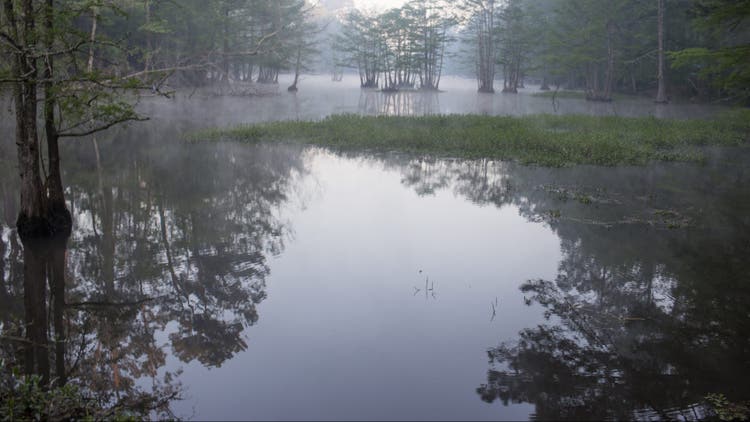 Texas woman throws boyfriend's mom ashes in Lake