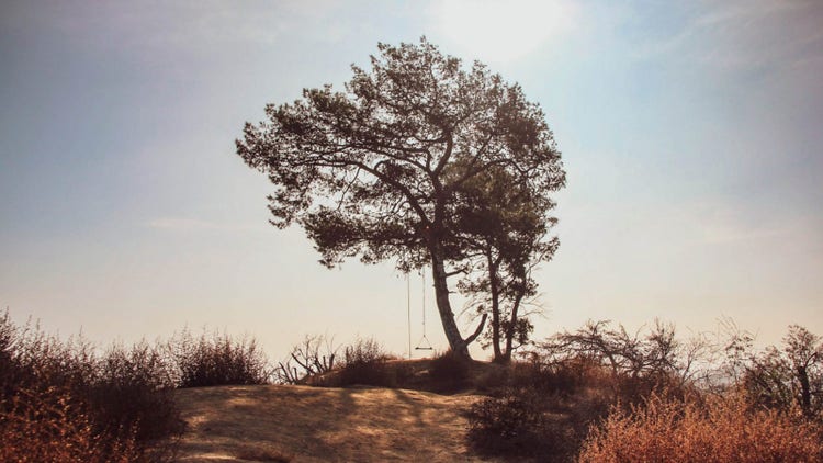 Griffith Park