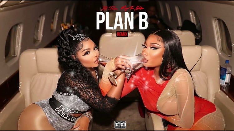 Megan Thee Stallion and Lil Kim