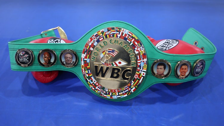 World Boxing Council