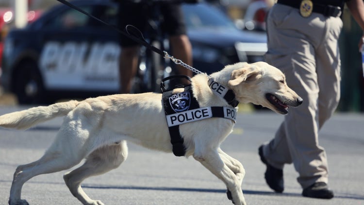 Police K-9