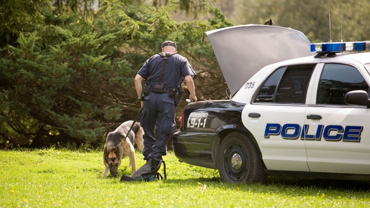 Officer and police dog